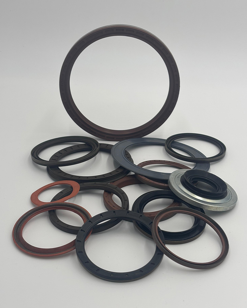 Moulds for automotive oil seal